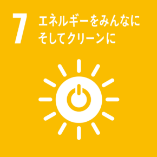 SDG Image