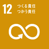 SDG Image